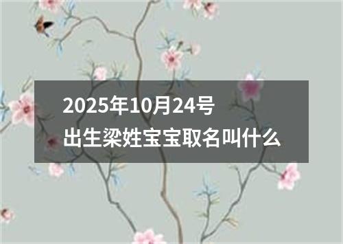 2025年10月24号出生梁姓宝宝取名叫什么