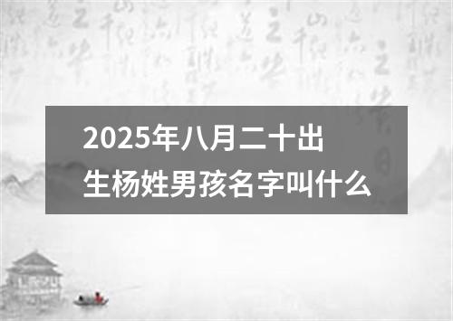2025年八月二十出生杨姓男孩名字叫什么