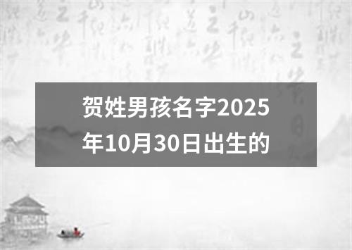 贺姓男孩名字2025年10月30日出生的