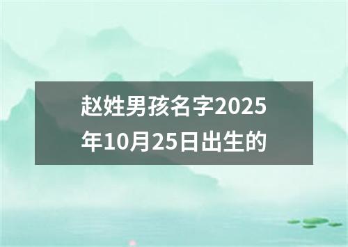 赵姓男孩名字2025年10月25日出生的
