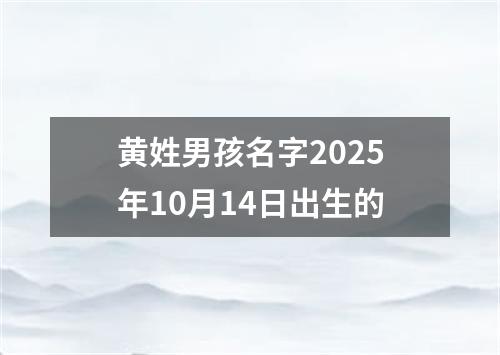 黄姓男孩名字2025年10月14日出生的