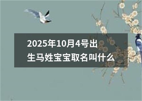 2025年10月4号出生马姓宝宝取名叫什么