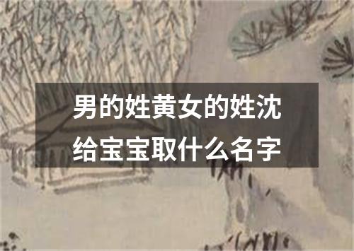 男的姓黄女的姓沈给宝宝取什么名字