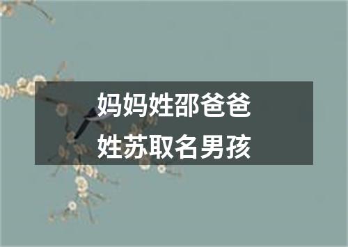 妈妈姓邵爸爸姓苏取名男孩