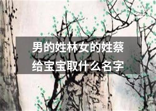 男的姓林女的姓蔡给宝宝取什么名字
