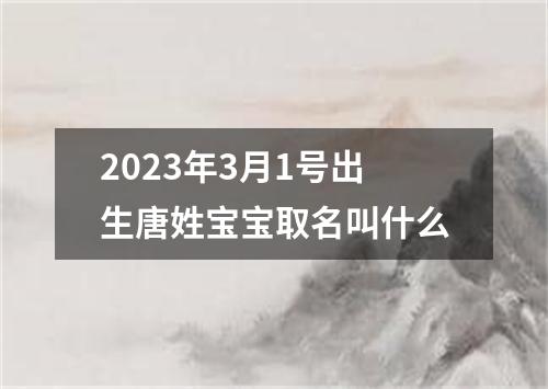 2023年3月1号出生唐姓宝宝取名叫什么