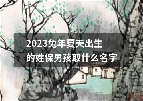 2023兔年夏天出生的姓保男孩取什么名字
