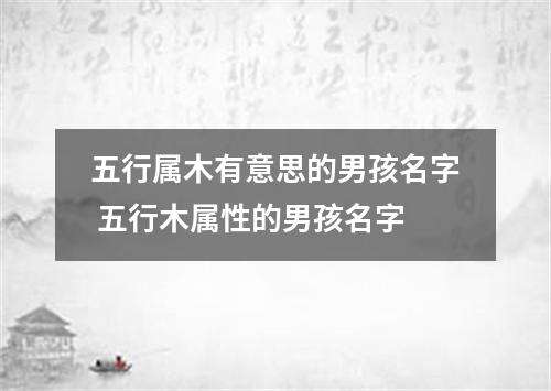 五行属木有意思的男孩名字 五行木属性的男孩名字