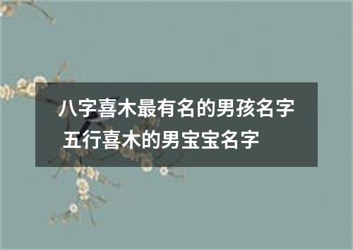八字喜木最有名的男孩名字 五行喜木的男宝宝名字
