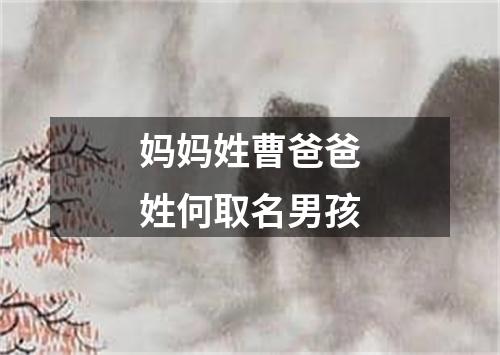 妈妈姓曹爸爸姓何取名男孩