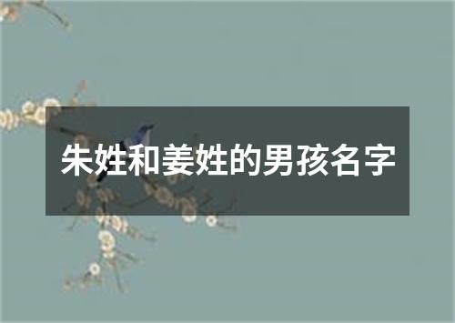 朱姓和姜姓的男孩名字