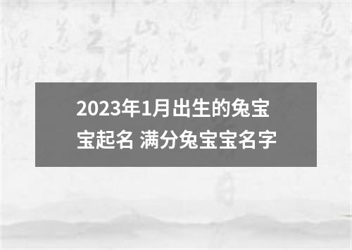 2023年1月出生的兔宝宝起名 满分兔宝宝名字