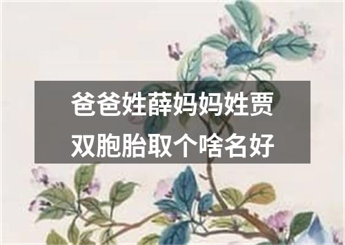 爸爸姓薛妈妈姓贾双胞胎取个啥名好