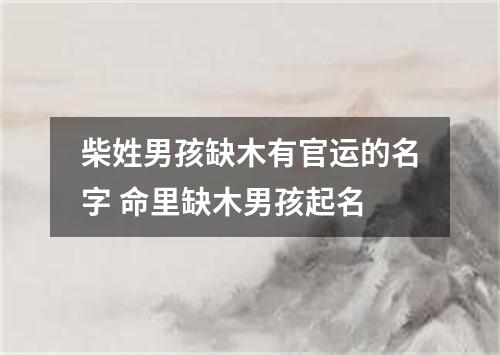 柴姓男孩缺木有官运的名字 命里缺木男孩起名