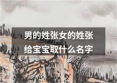 男的姓张女的姓张给宝宝取什么名字