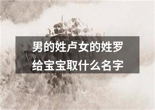 男的姓卢女的姓罗给宝宝取什么名字