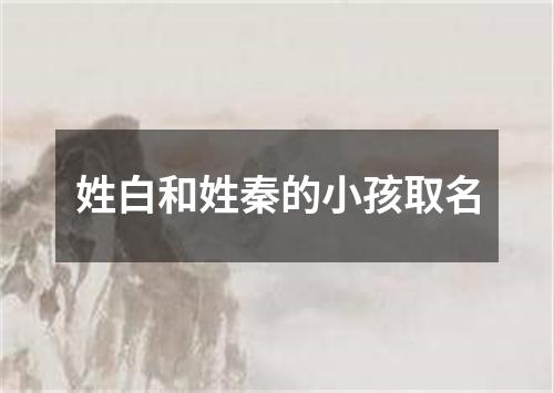 姓白和姓秦的小孩取名