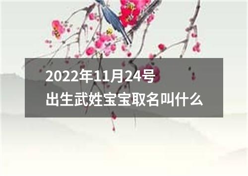 2022年11月24号出生武姓宝宝取名叫什么