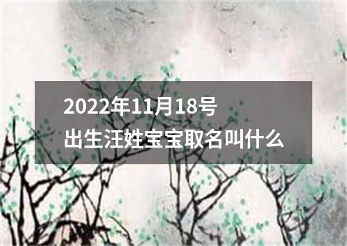 2022年11月18号出生汪姓宝宝取名叫什么