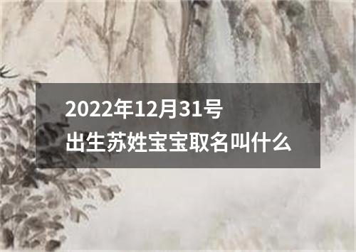 2022年12月31号出生苏姓宝宝取名叫什么