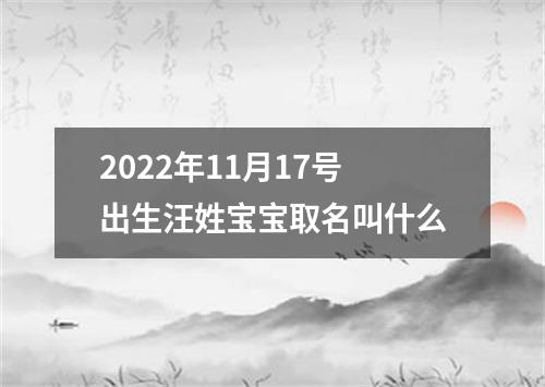 2022年11月17号出生汪姓宝宝取名叫什么