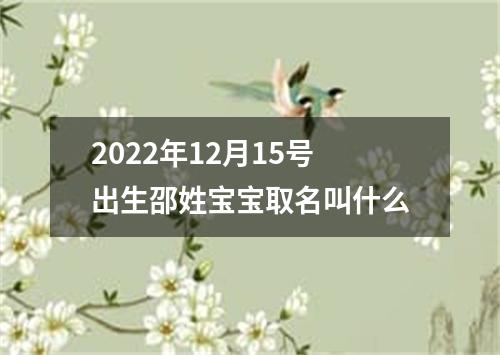 2022年12月15号出生邵姓宝宝取名叫什么