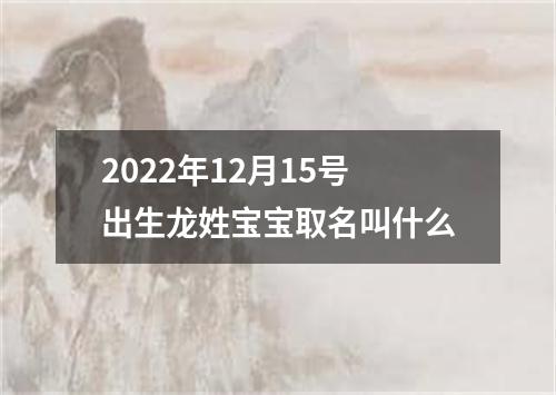 2022年12月15号出生龙姓宝宝取名叫什么