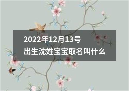 2022年12月13号出生沈姓宝宝取名叫什么