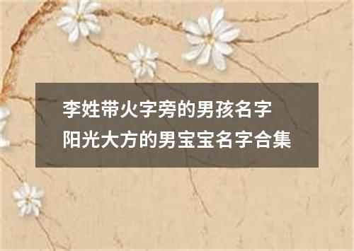 李姓带火字旁的男孩名字 阳光大方的男宝宝名字合集