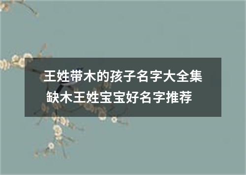 王姓带木的孩子名字大全集 缺木王姓宝宝好名字推荐