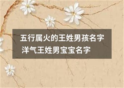 五行属火的王姓男孩名字 洋气王姓男宝宝名字