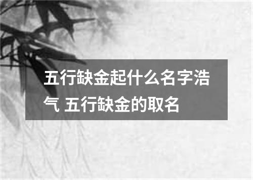 五行缺金起什么名字浩气 五行缺金的取名