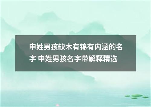 申姓男孩缺木有锦有内涵的名字 申姓男孩名字带解释精选