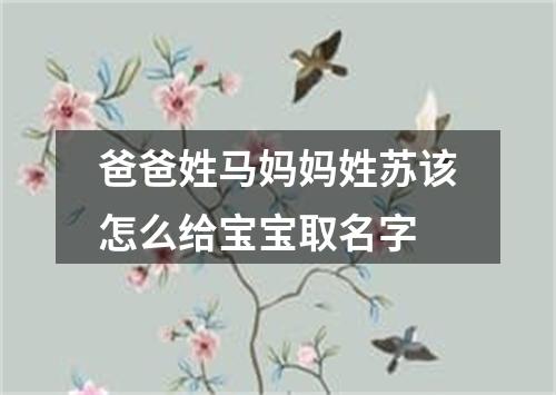 爸爸姓马妈妈姓苏该怎么给宝宝取名字