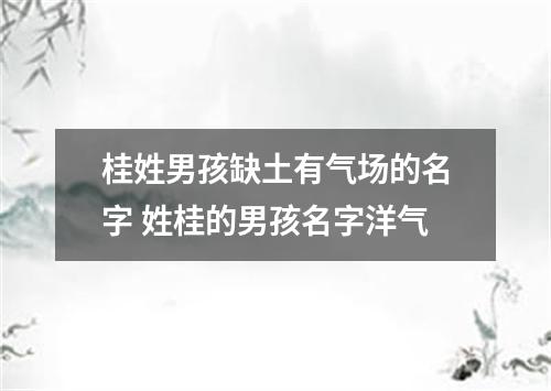 桂姓男孩缺土有气场的名字 姓桂的男孩名字洋气