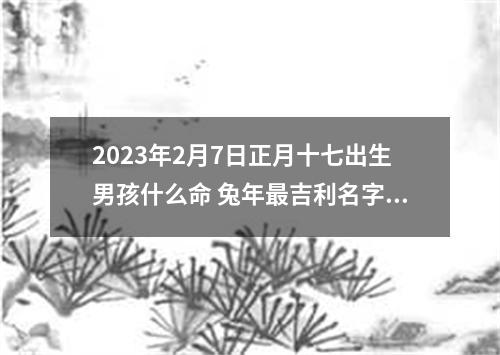 2023年2月7日正月十七出生男孩什么命 兔年最吉利名字推荐