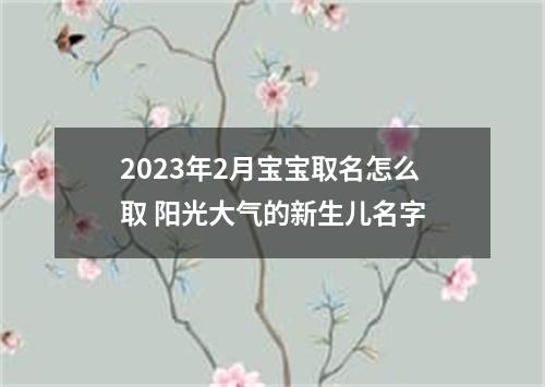 2023年2月宝宝取名怎么取 阳光大气的新生儿名字