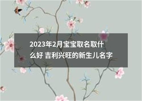 2023年2月宝宝取名取什么好 吉利兴旺的新生儿名字