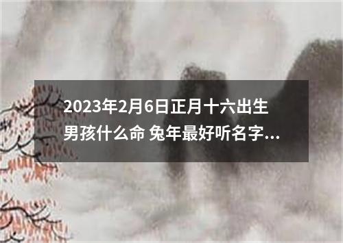 2023年2月6日正月十六出生男孩什么命 兔年最好听名字推荐