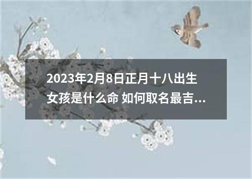 2023年2月8日正月十八出生女孩是什么命 如何取名最吉祥