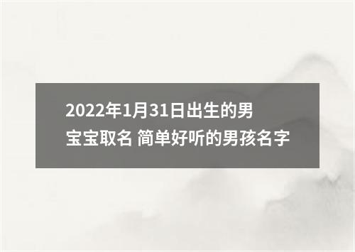 2022年1月31日出生的男宝宝取名 简单好听的男孩名字