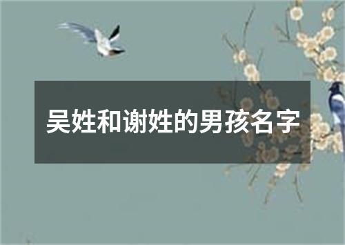 吴姓和谢姓的男孩名字