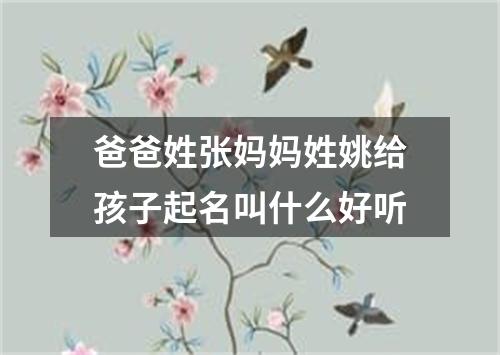 爸爸姓张妈妈姓姚给孩子起名叫什么好听