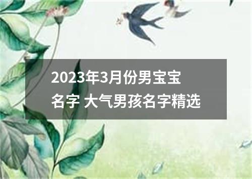 2023年3月份男宝宝名字 大气男孩名字精选