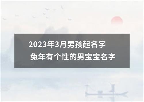 2023年3月男孩起名字 兔年有个性的男宝宝名字