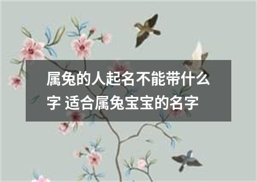 属兔的人起名不能带什么字 适合属兔宝宝的名字