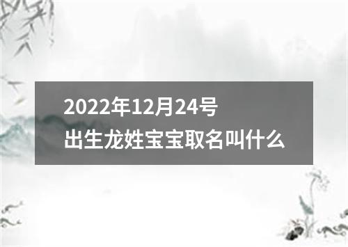 2022年12月24号出生龙姓宝宝取名叫什么