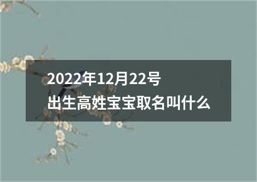 2022年12月22号出生高姓宝宝取名叫什么