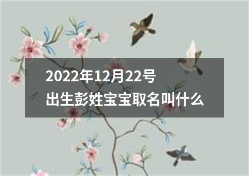 2022年12月22号出生彭姓宝宝取名叫什么