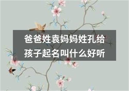 爸爸姓袁妈妈姓孔给孩子起名叫什么好听